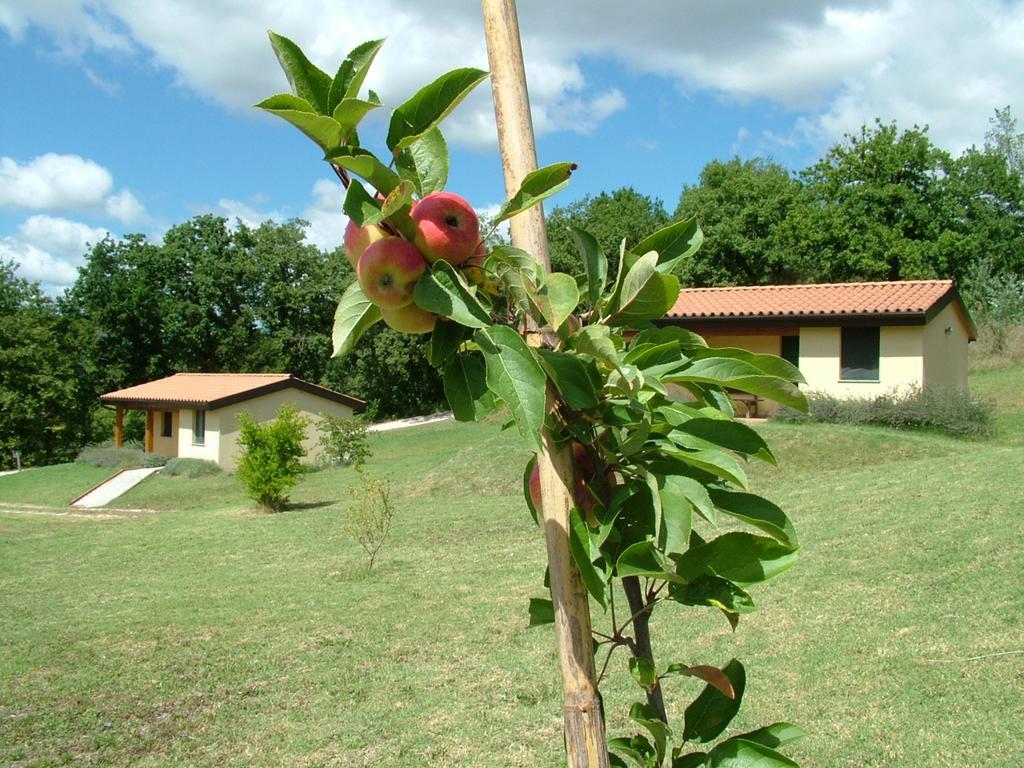 Valle Del Lupo San Ginesio Exterior photo